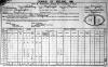 1901 Census SHIELS N
